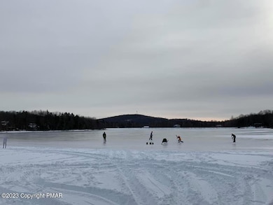 ICE SKATING ON FROZEN LAKE