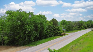 Lake View Land Taney County