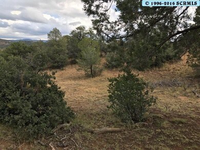 0 Xyz Ranch Rd unit Corner of XYZ and Oa, Silver City, NM 88061 - photo 6