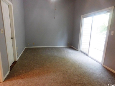 Spare room featuring carpet and plenty of natural light