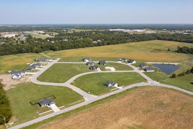 Aerial view of subdivision