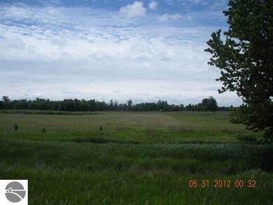 0 E Huron Rd unit 1763959, Omer, MI 48749 - photo 4