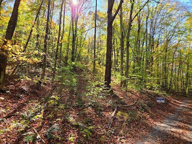 0 Backus Mountain Rd, Meadow Bridge, WV 25976 - photo 2