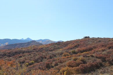 IMG_0734