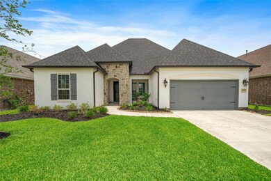 25006 Coperti Ln, Spring, TX 77386 - photo 2