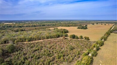 Treed area at south end of property