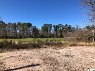 876 Caines Landing Rd unit Lot 1A, Conway, SC 29526 - photo 2