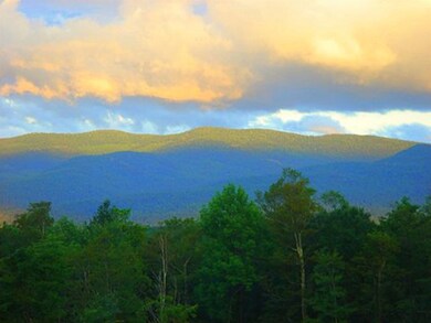 2419 Cram Hill Rd, Roxbury, VT 05669 - photo 6