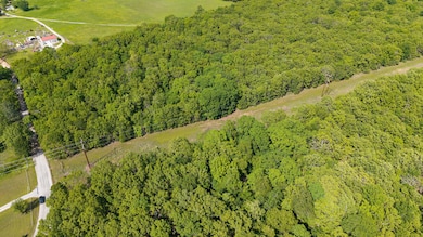 dji_20250503151027_0738_d