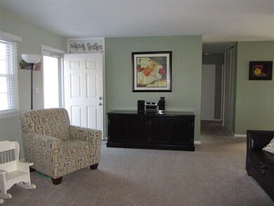New Carpet!