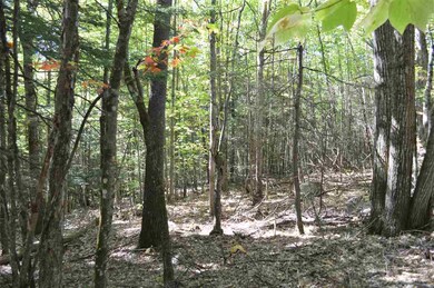 5 Sagamore Ridge unit Lot 5, Tuftonboro, NH 03816 - photo 2