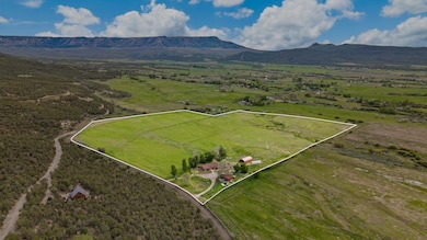 10479 50 Rd, Mesa, CO 81643 - photo 5