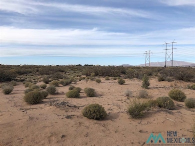 000 Sands Rd NW, Deming, NM 88030 - photo 2