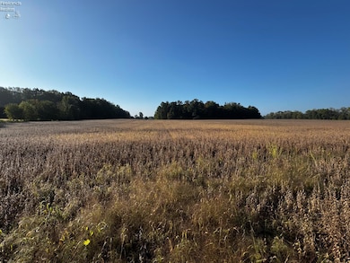 0 Section Line Rd unit 20253852, New London, OH 44851 - photo 3