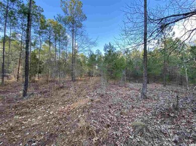 TBD 3.7 Acre Wilderness Ln, Loris, SC 29569 - photo 2