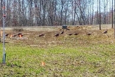 2275 River Bluffs Dr, Jasper, TN 37347 - photo 7