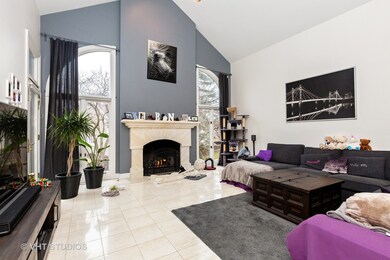 3 Pebble Beach Ct, Lake In the Hills, IL 60156 - photo 6