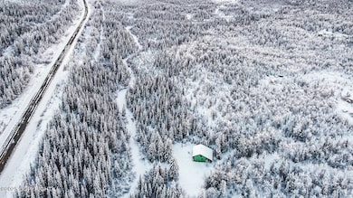 Mile 73.5 Richardson Hwy, Chitina, AK 99566 - photo 6