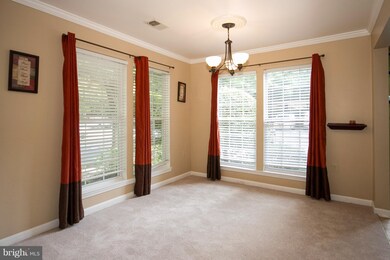 5011 Triplett Rd unit 5011, Owings Mills, MD 21117 - photo 6