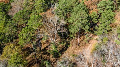 TBD County Road 291, Tyler, TX 75707 - photo 7