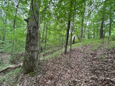 0 Mcdade Rd unit 23668134, Eatonton, GA 31024 - photo 6