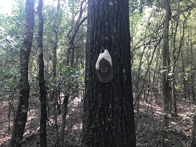 012 R C Thomas Rd, Hattiesburg, MS 39401 - photo 6