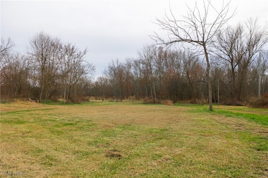 12160 Harvey Cir, Chippewa Township, OH 44270 - photo 6