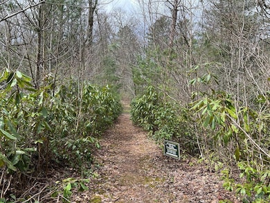 TBD N 5th St, Highlands, NC 28741 - photo 2