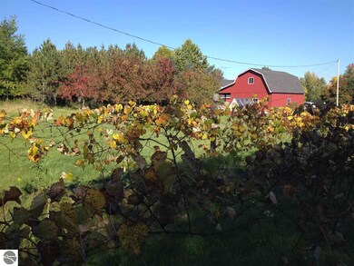 7624 W Esmond Rd, Hale, MI 48739 - photo 4