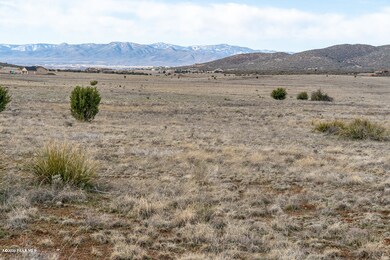 View to South from center of lot