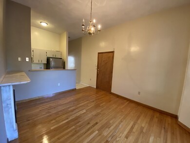 27 E Concord St unit 2, Boston, MA 02118 - photo 5