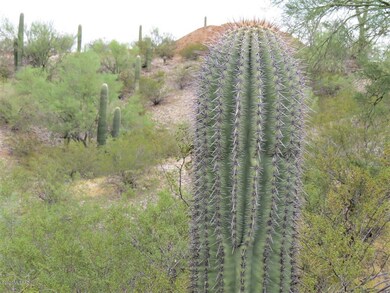 6080 N Mona Lisa Rd, Tucson, AZ 85741 - photo 7