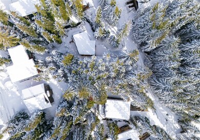 230 Tanner Way, Snoqualmie Pass, WA 98068 - photo 3