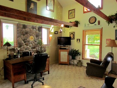 DEN FROM KITCHEN W/WORKING FLUE