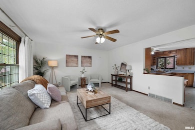 4836 W Pleasant St, Davenport, IA 52804 - photo 3