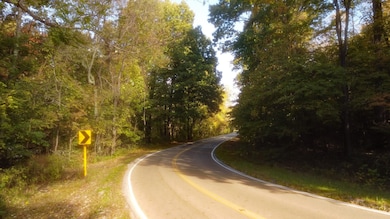 0 Clouse Hill Rd, Pelham, TN 37366 - photo 6