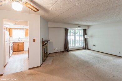 1258 Chalet Rd unit 101, Naperville, IL 60563 - photo 5