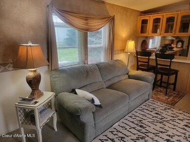 2921857373567057008 (1)