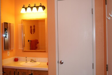 master shower pic 2