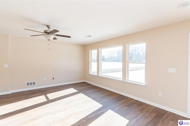 110 Shirley Blvd, Vine Grove, KY 40175 - photo 6