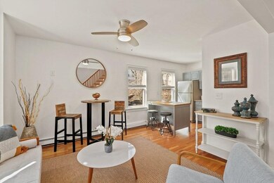 19 Norfolk St unit 2, Roxbury, MA 02119 - photo 3