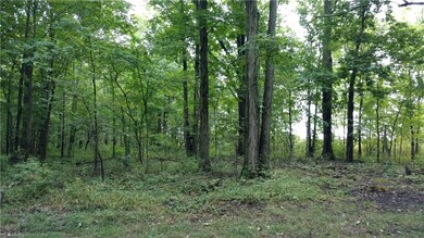 0 State Route 167 unit 4136104, Denmark, OH 44047 - photo 3