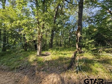 223 An County Road 4250, Palestine, TX 75803 - photo 5