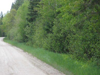 P6050006