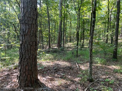 2021 Goats Bluff Rd, Wister, OK 74966 - photo 3