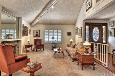 high ceilings and Plantation Shutters