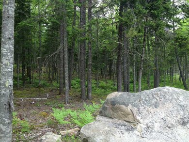 Land/Lot.