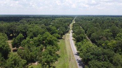 0 Hwy 3n unit 161947, Baconton, GA 31716 - photo 2