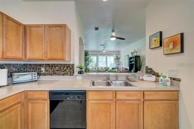 10023 Tranquility Way, Tampa, FL 33625 - photo 7