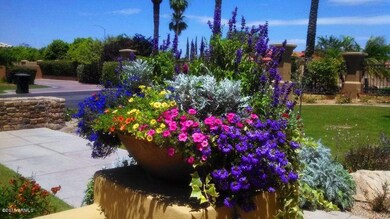 1330 N 40th St unit 7, Mesa, AZ 85205 - photo 5